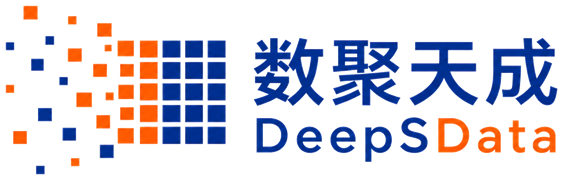 数聚天成 DeepSData
